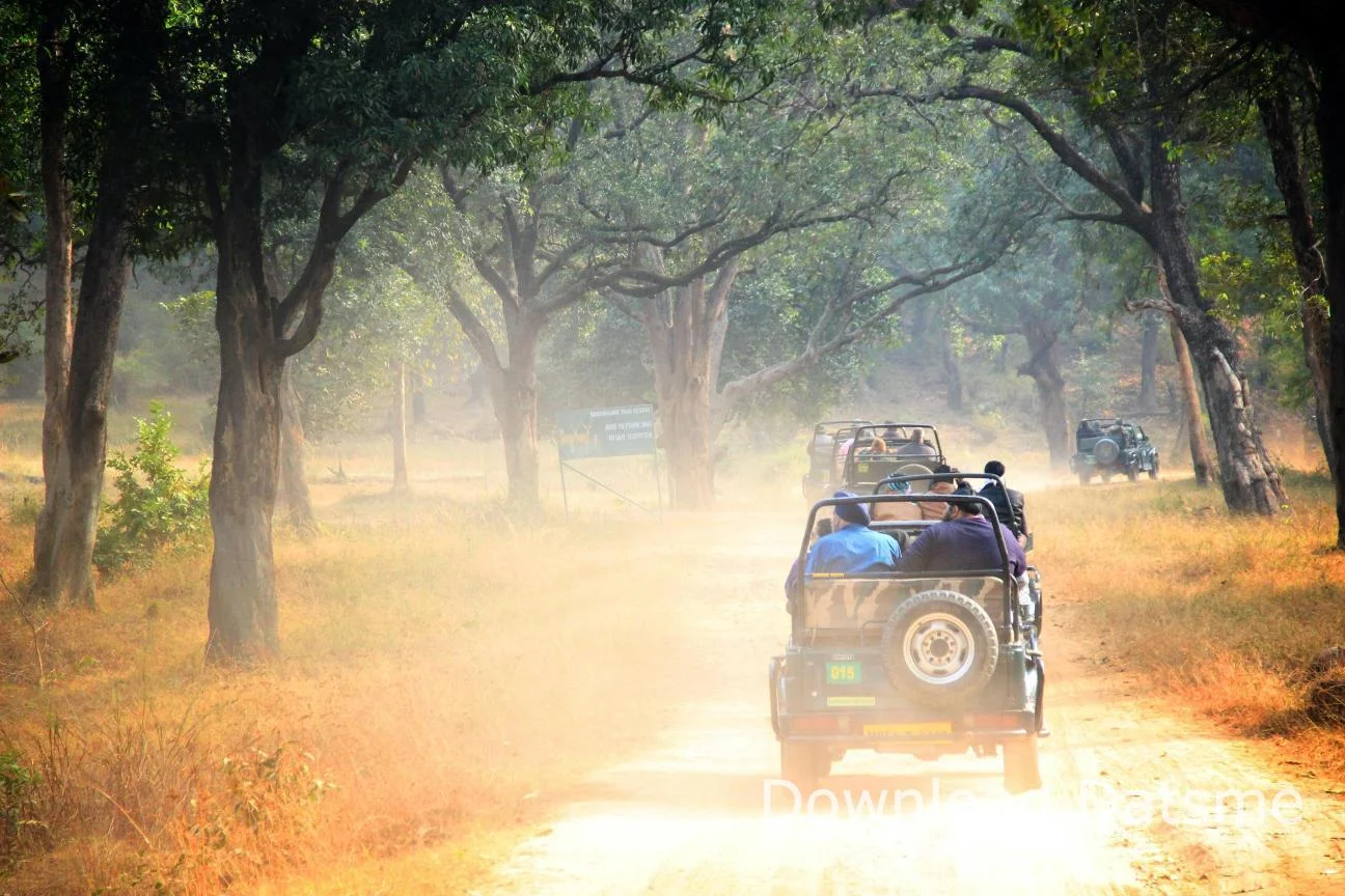 Find Friends in Seoni, Madhya Pradesh based on your bonding style