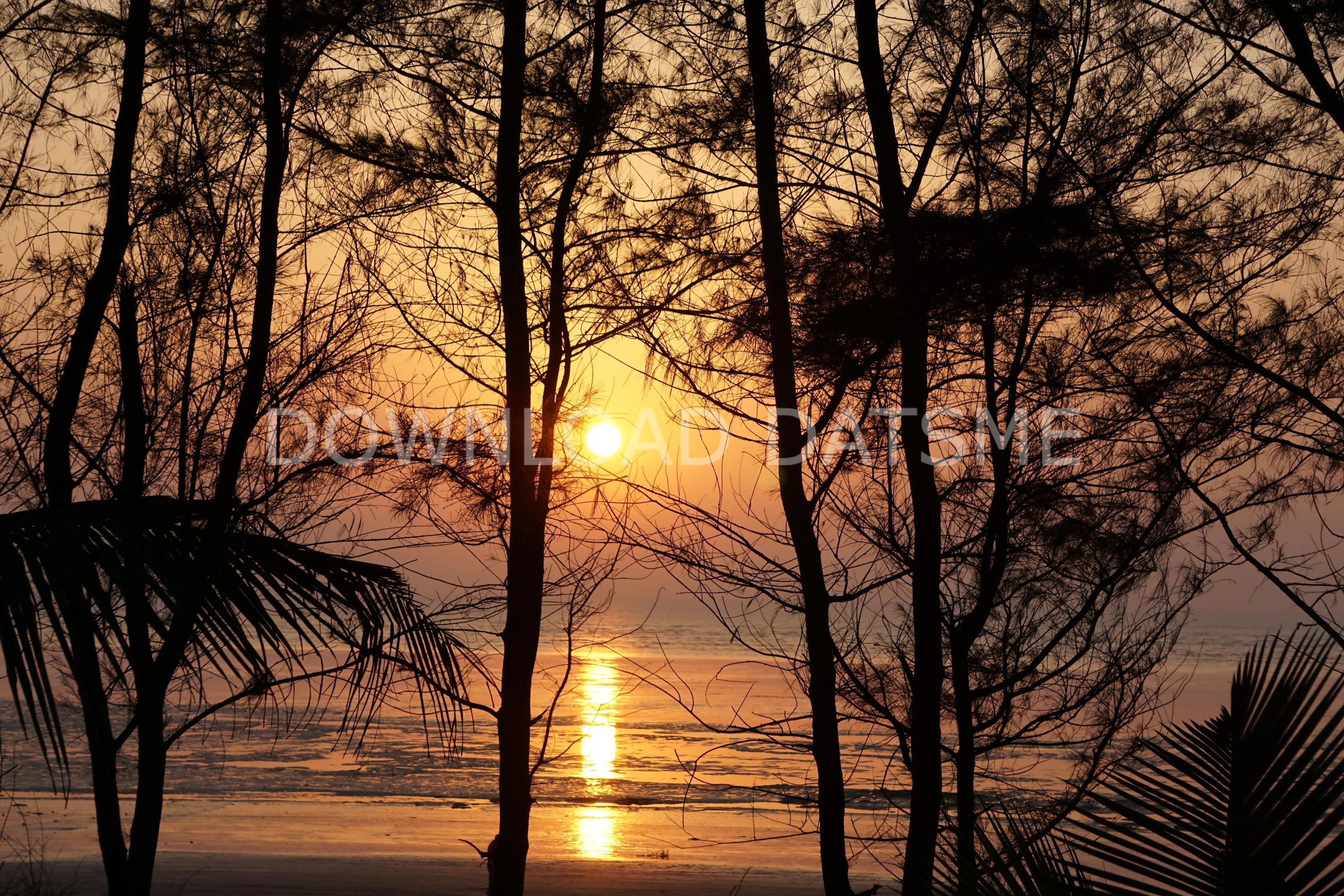 Find Friends in Dahanu, Maharashtra based on your bonding style
