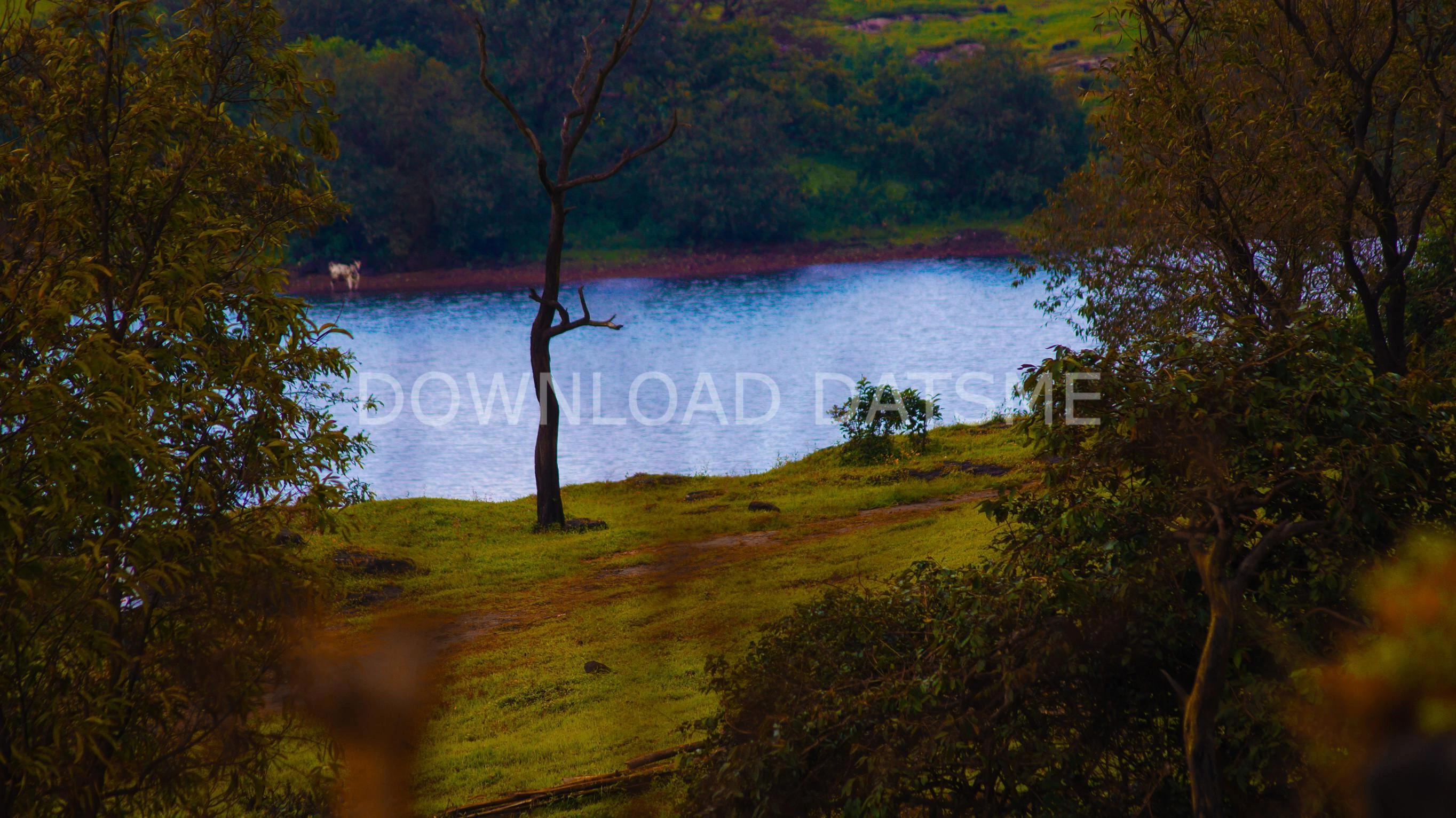 Find Friends in Satara, Maharashtra based on your bonding style