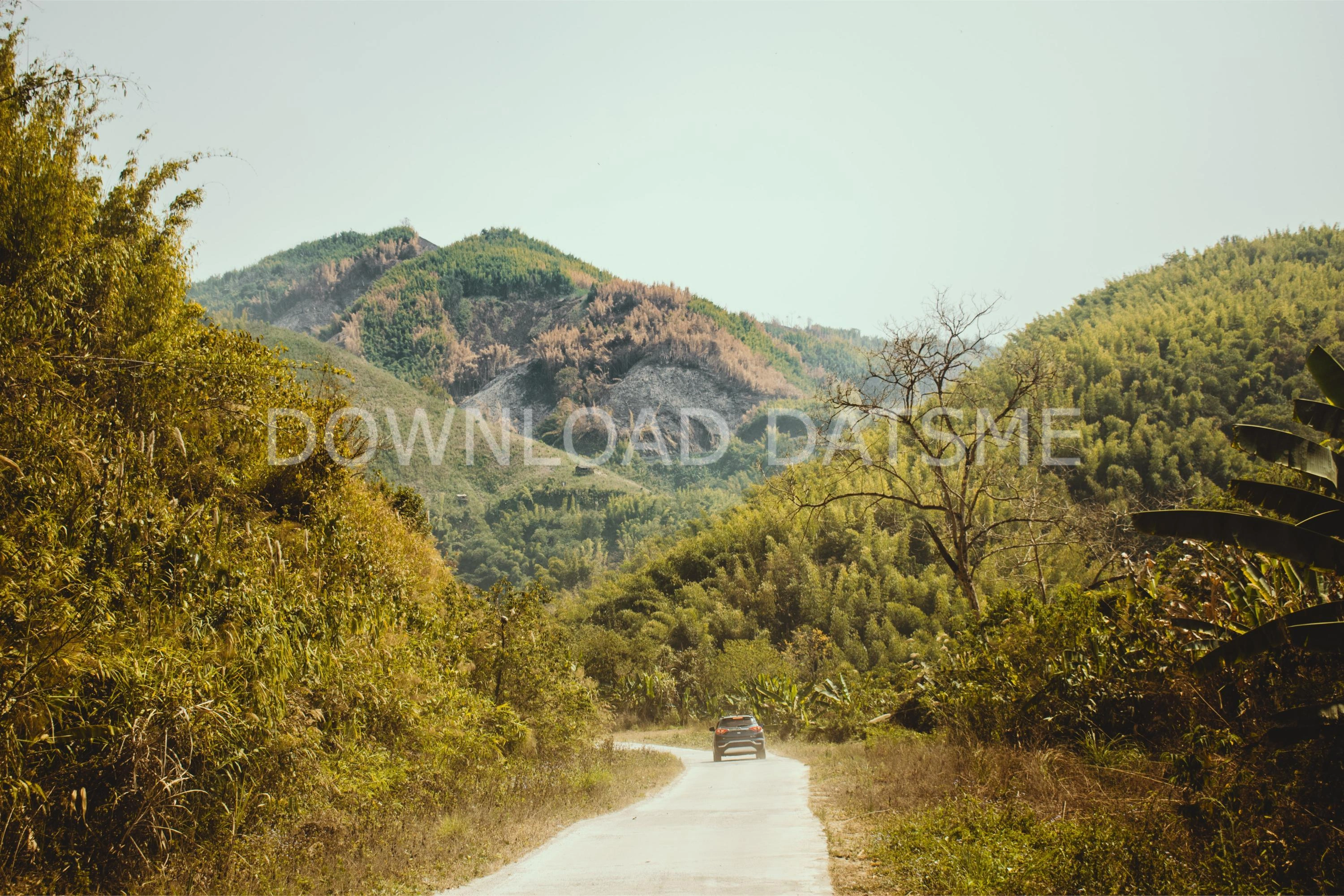 Find Friends in Serchhip, Mizoram based on your bonding style