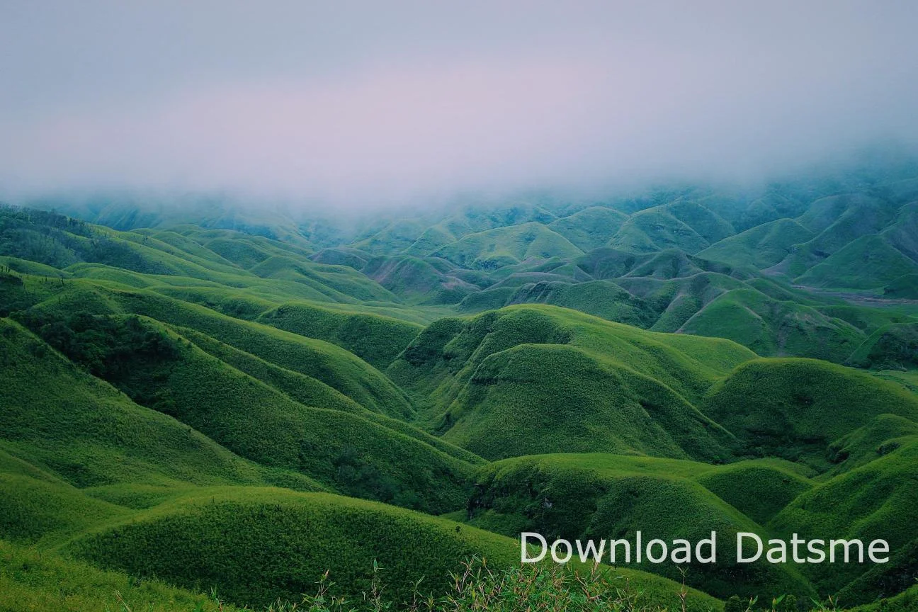 Find Friends in Chumukedima, Nagaland based on your bonding style