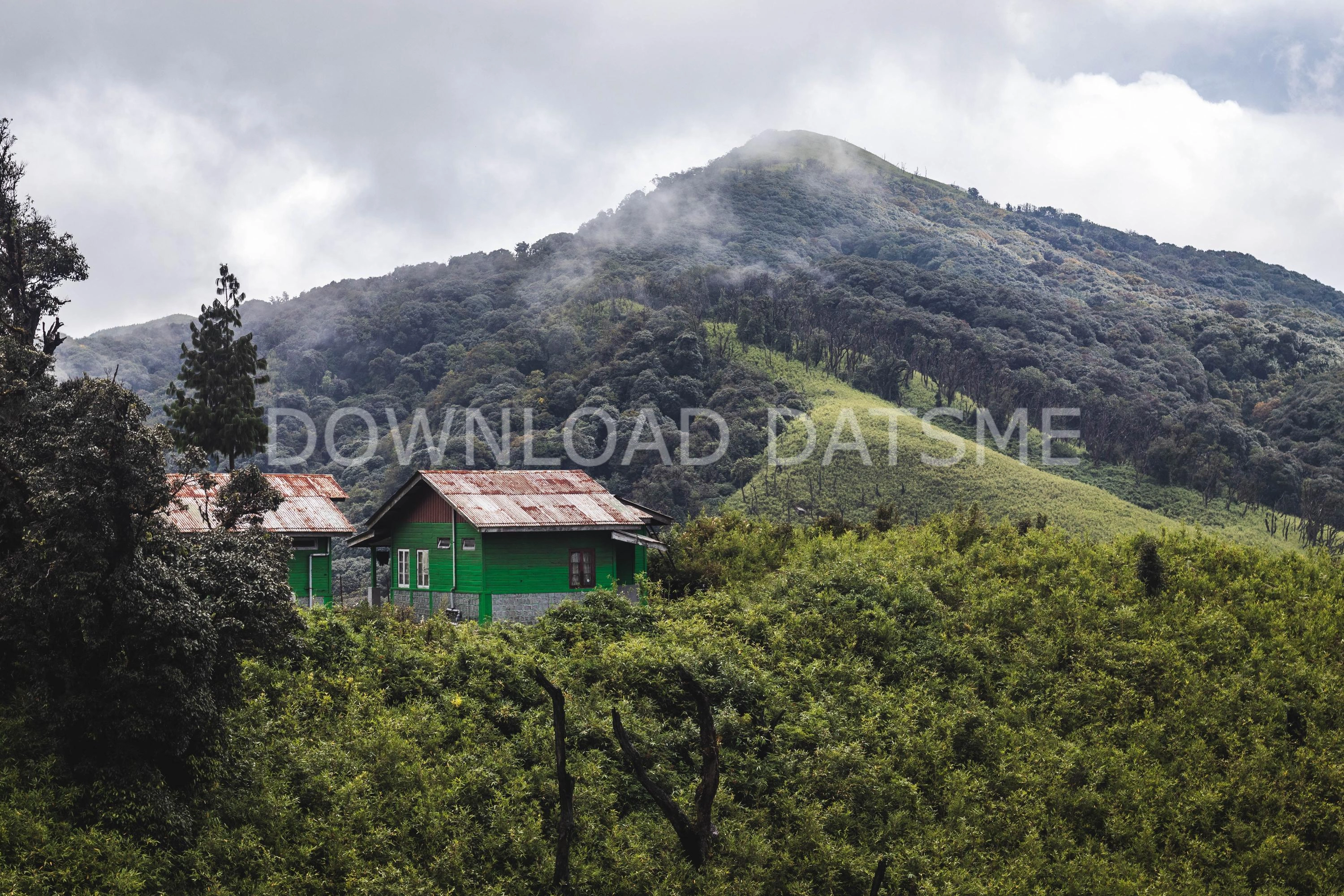 Find Friends in Jalukie, Nagaland based on your bonding style
