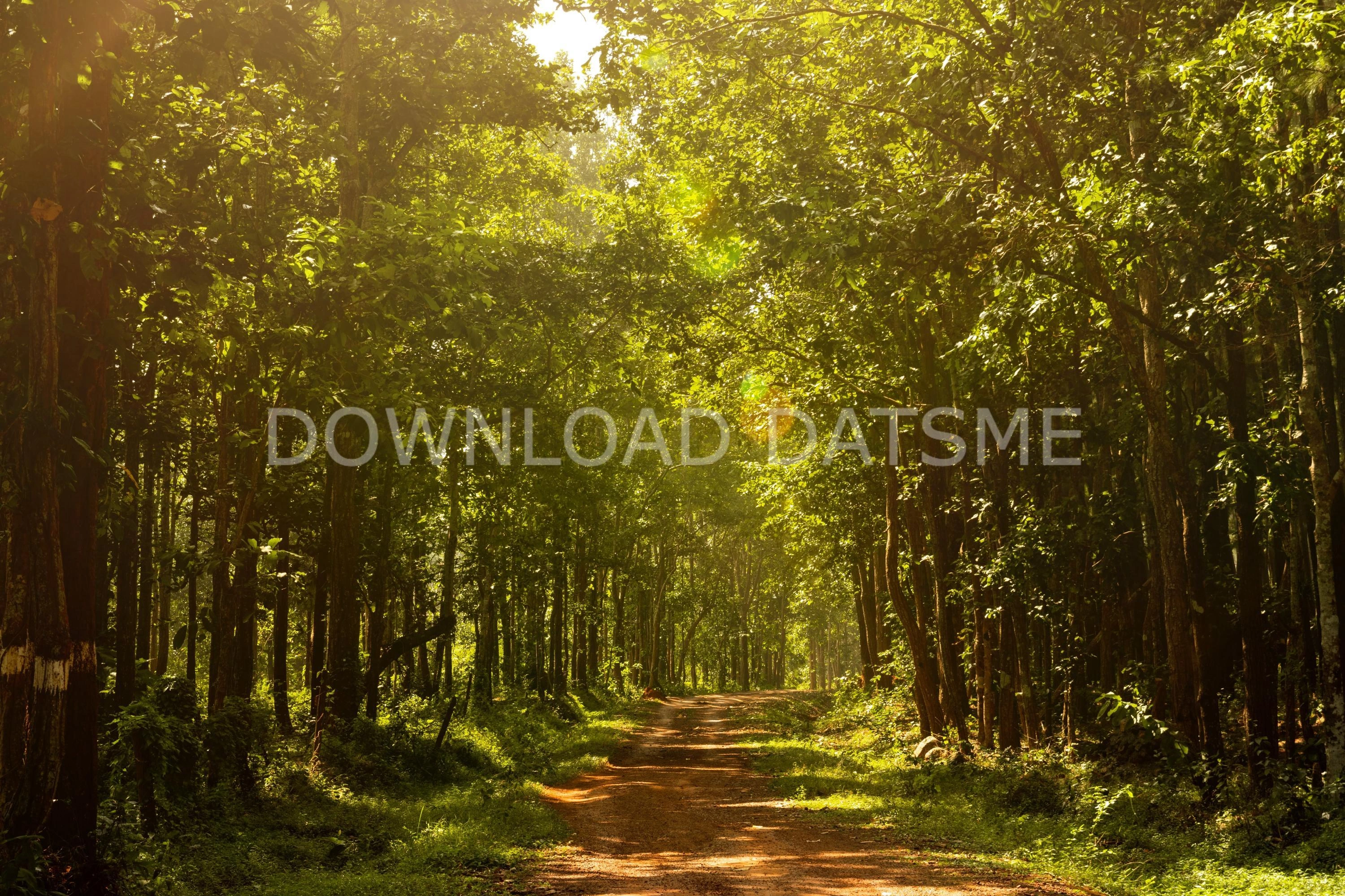 Find Friends in Bargarh, Odisha based on your bonding style
