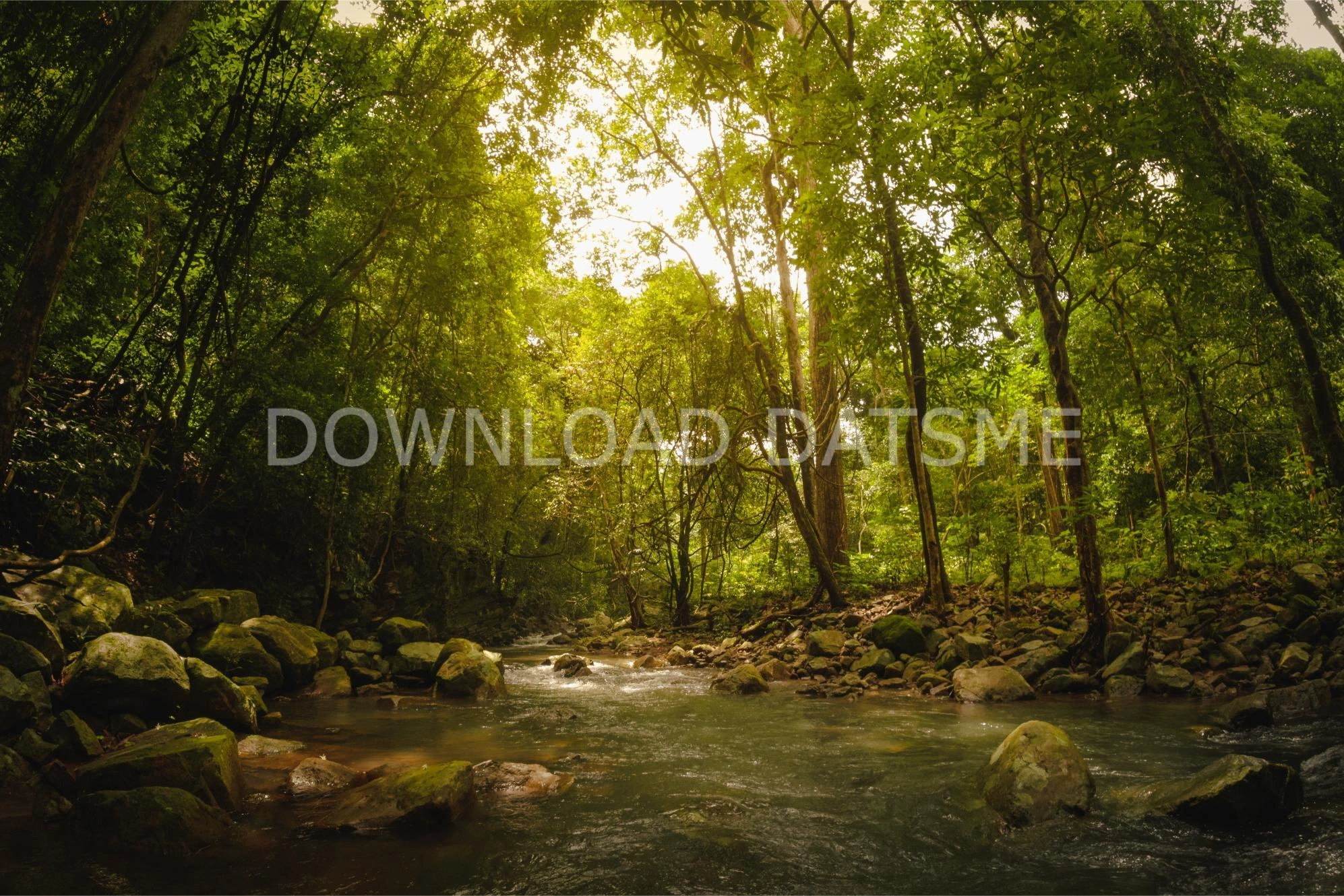 Find Friends in Jagatsinghpur, Odisha based on your bonding style