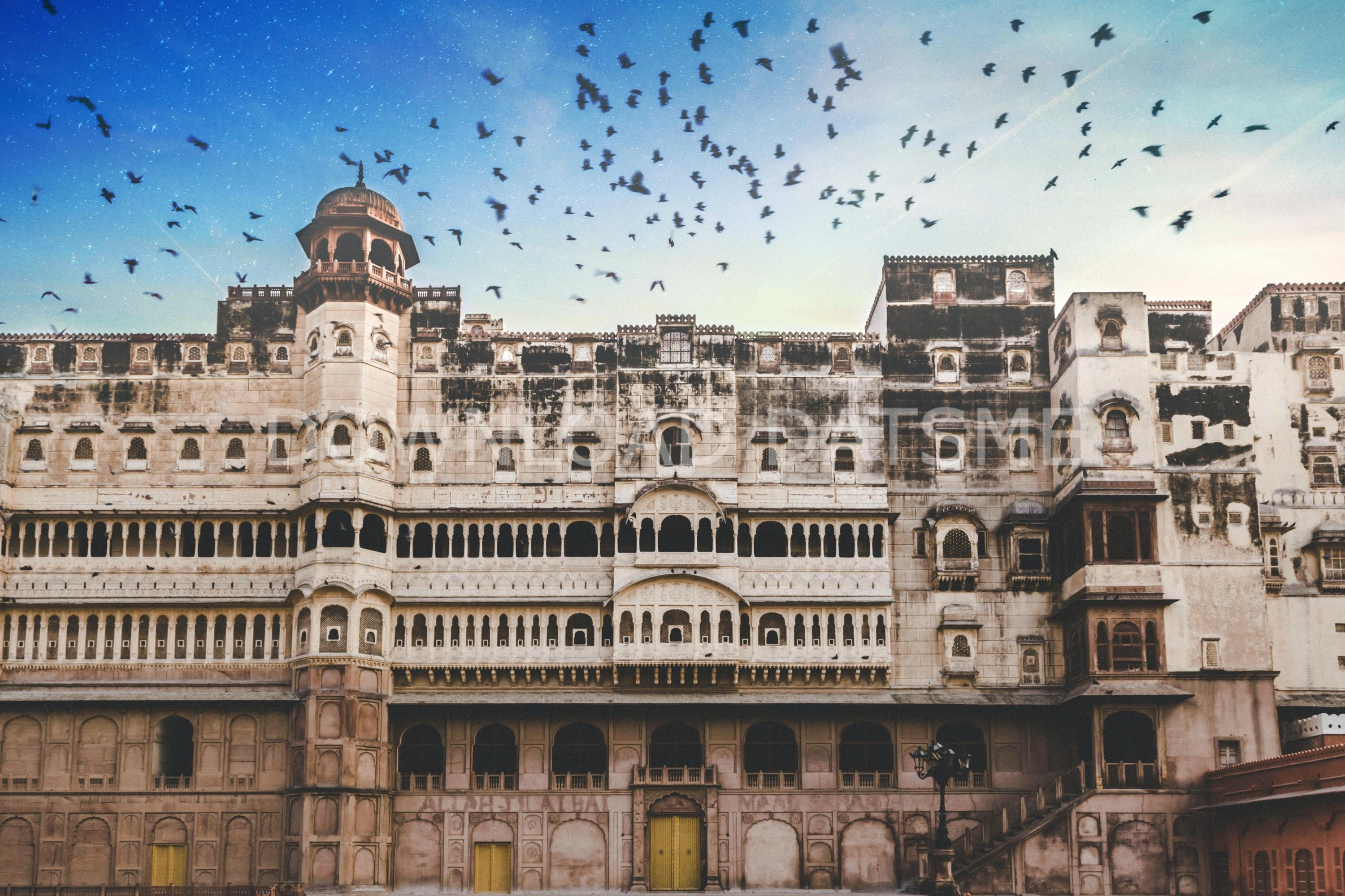 Find Friends in Bikaner, Rajasthan based on your bonding style