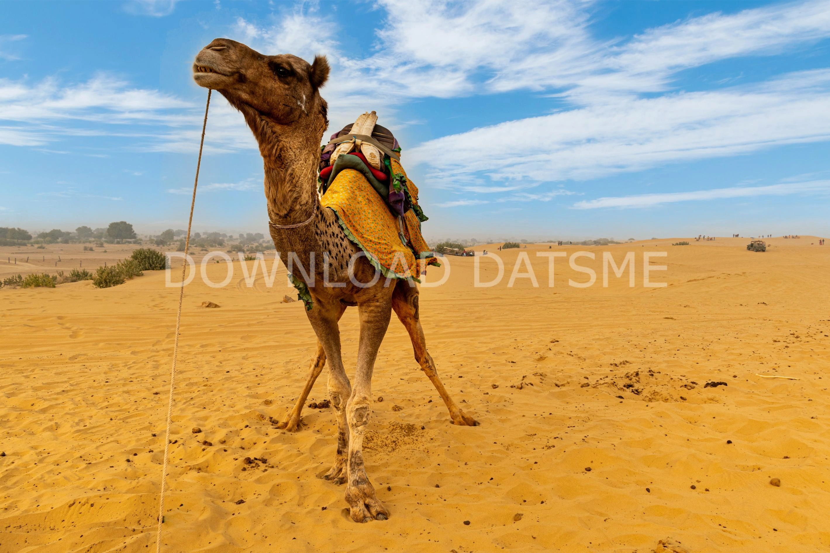 Find Friends in Jaisalmer, Rajasthan based on your bonding style