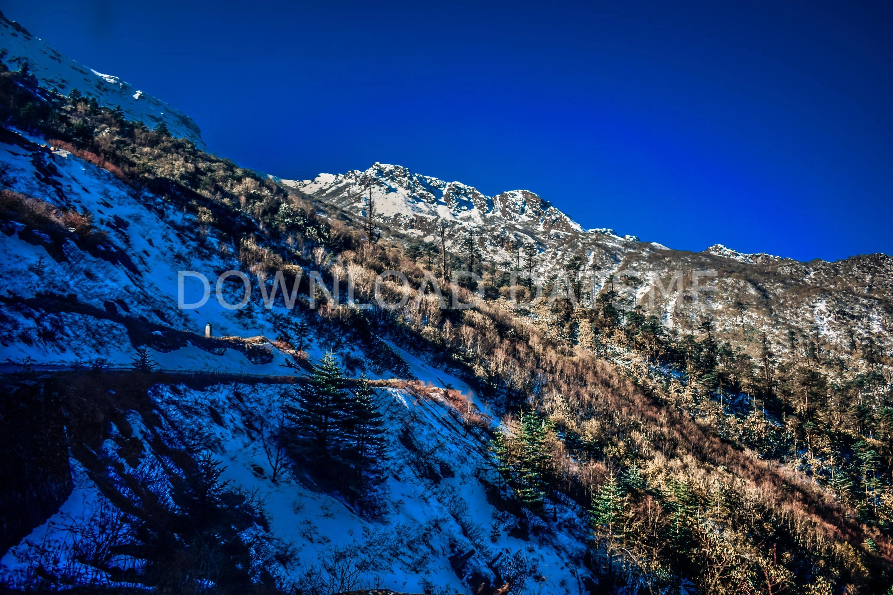 Find Friends in Lachung, Sikkim based on your bonding style