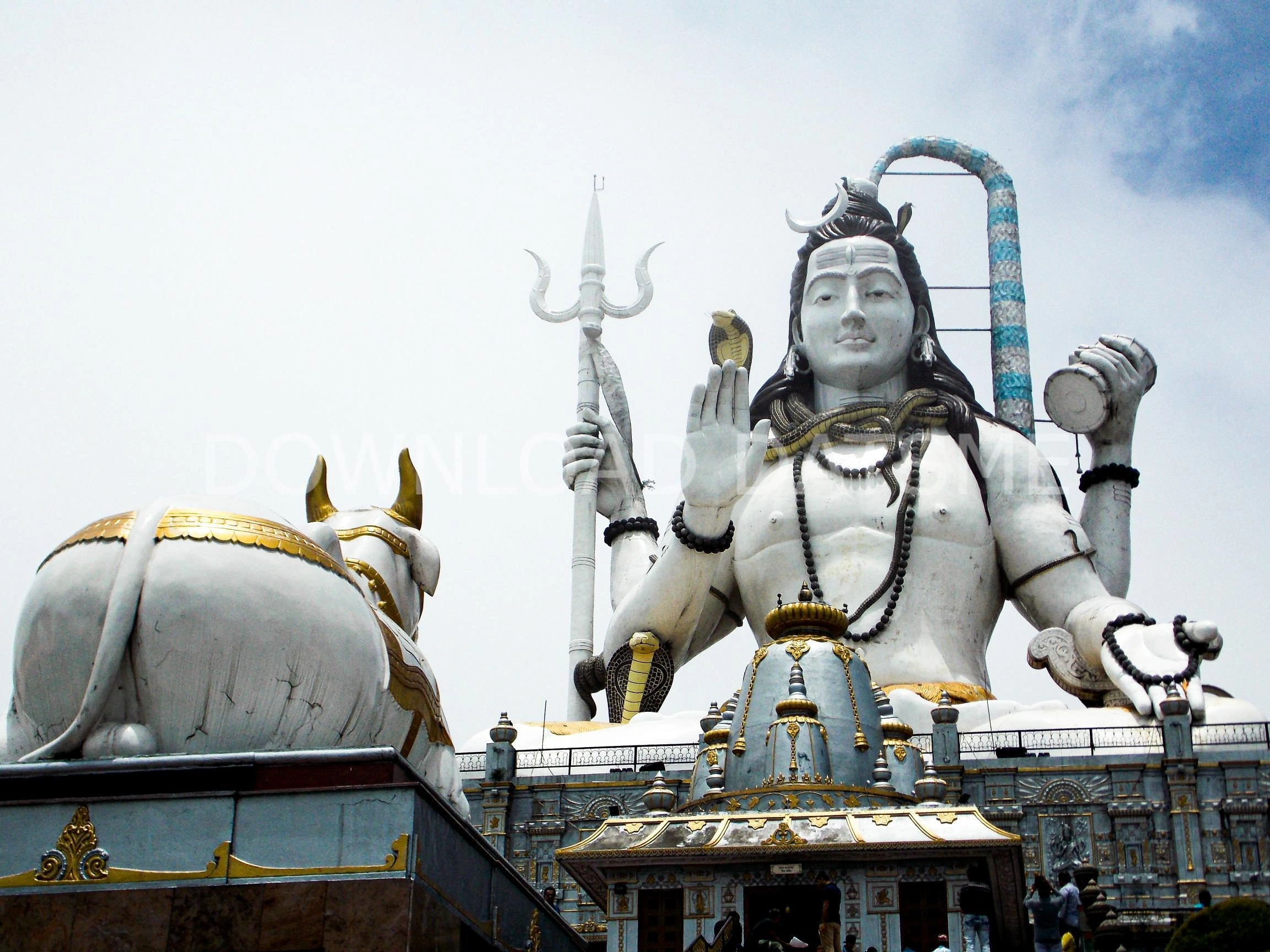Find Friends in Namchi, Sikkim based on your bonding style