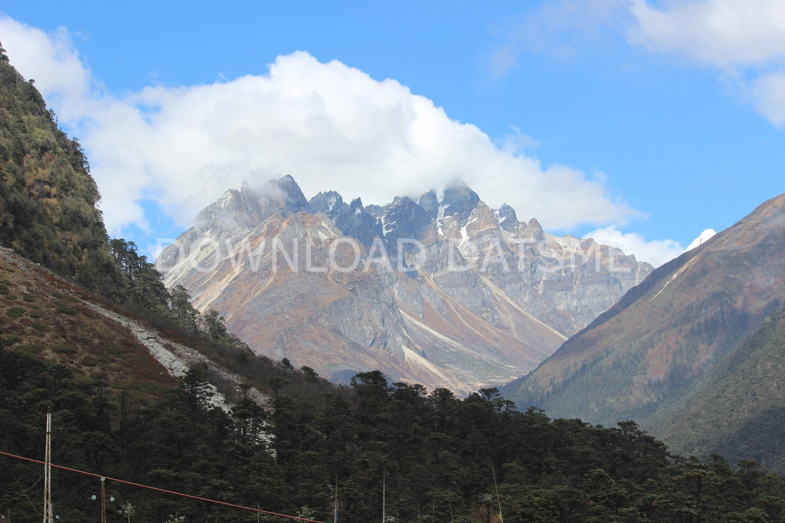 Find Friends in Yumthang, Sikkim based on your bonding style