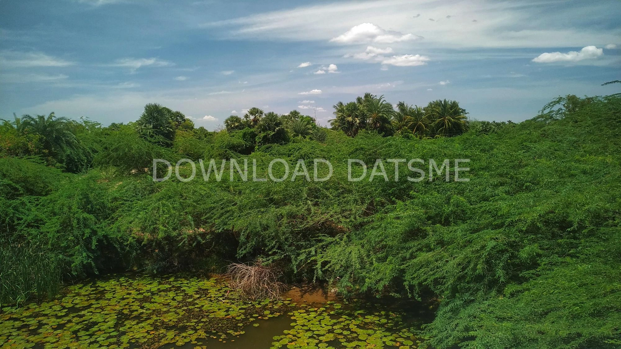 Find Friends in Dindigul, Tamil Nadu based on your bonding style