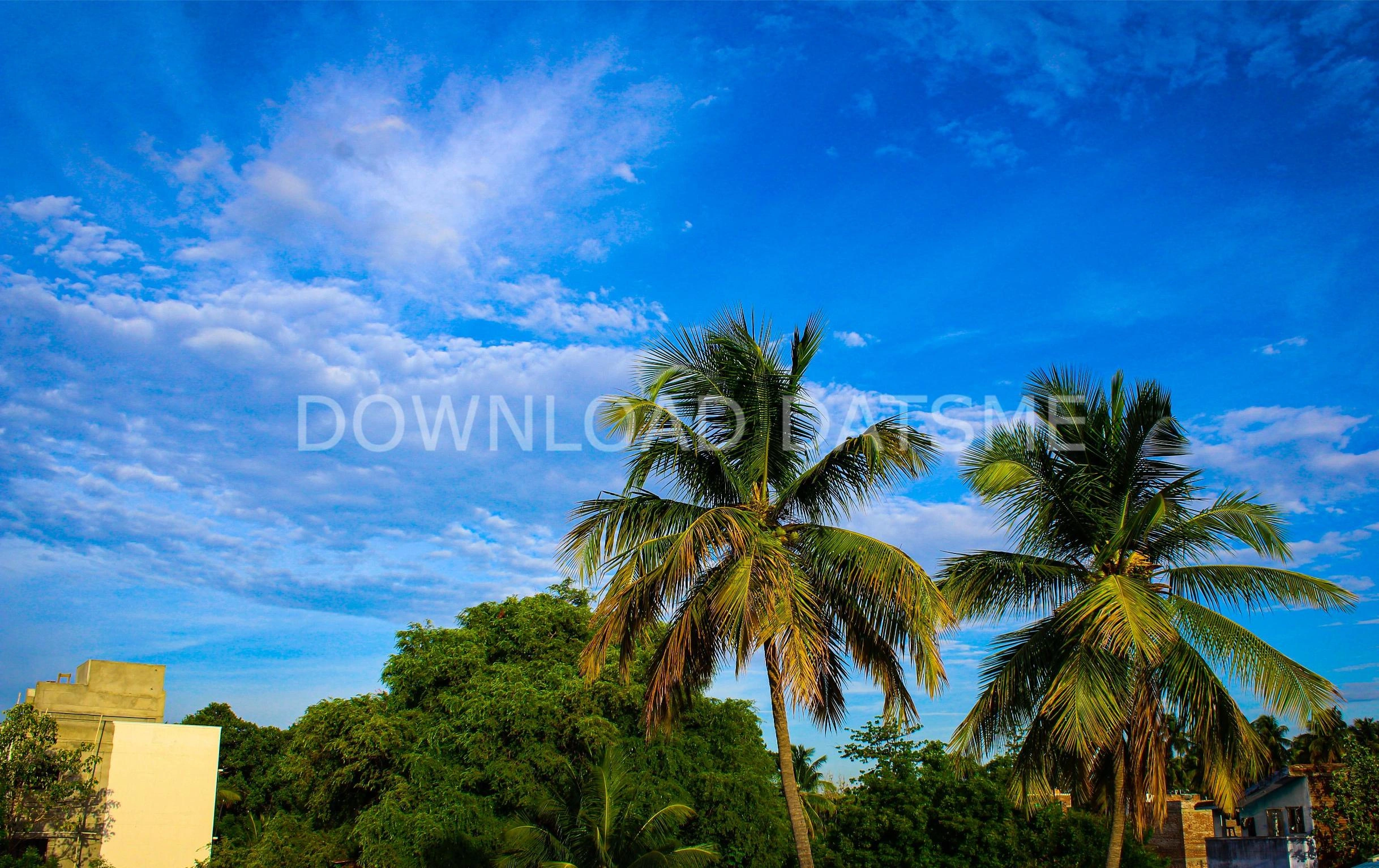 Find Friends in Periyakulam, Tamil Nadu based on your bonding style