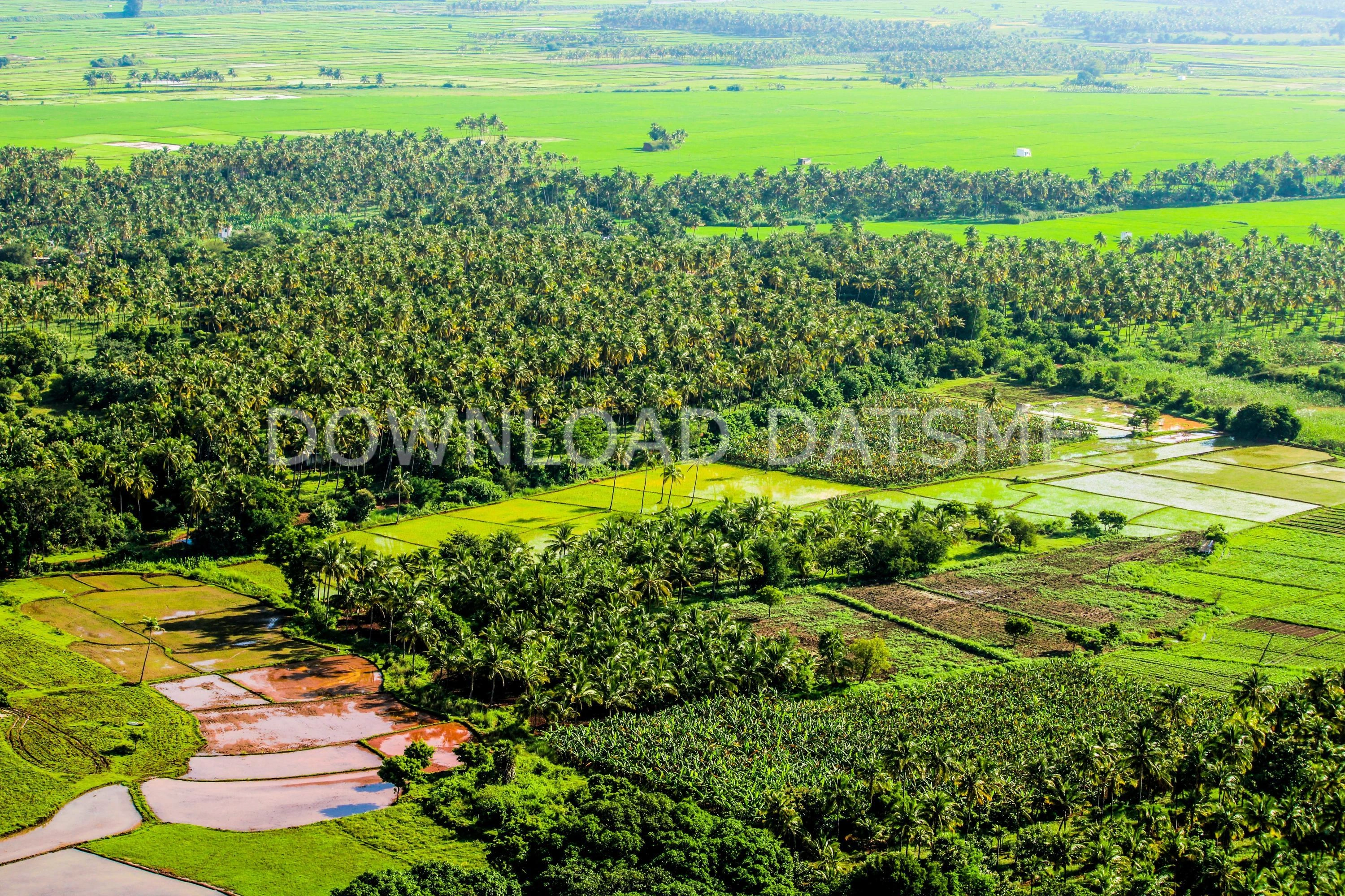 Find Friends in Tenkasi, Tamil Nadu based on your bonding style
