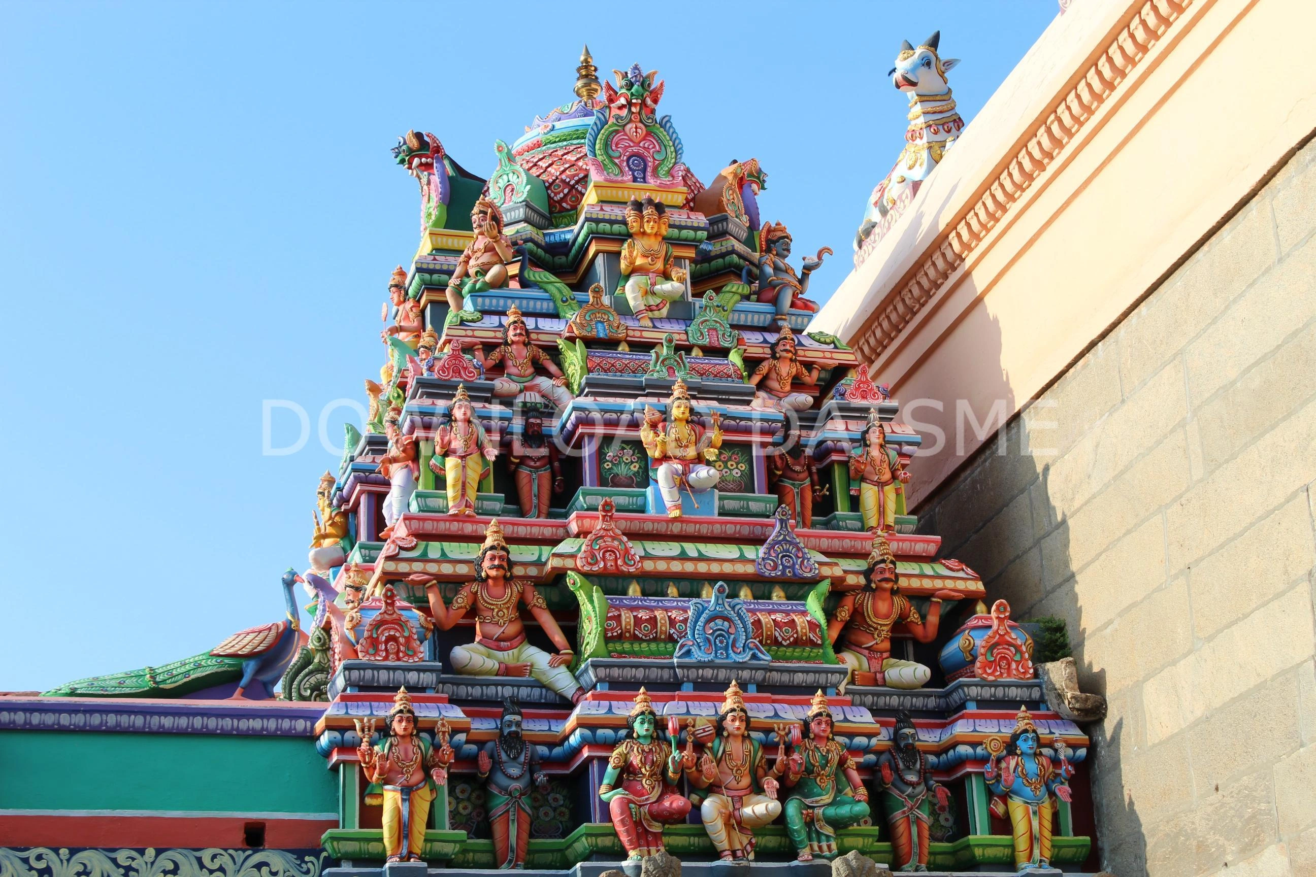 Find Friends in Tiruvannamalai, Tamil Nadu based on your bonding style