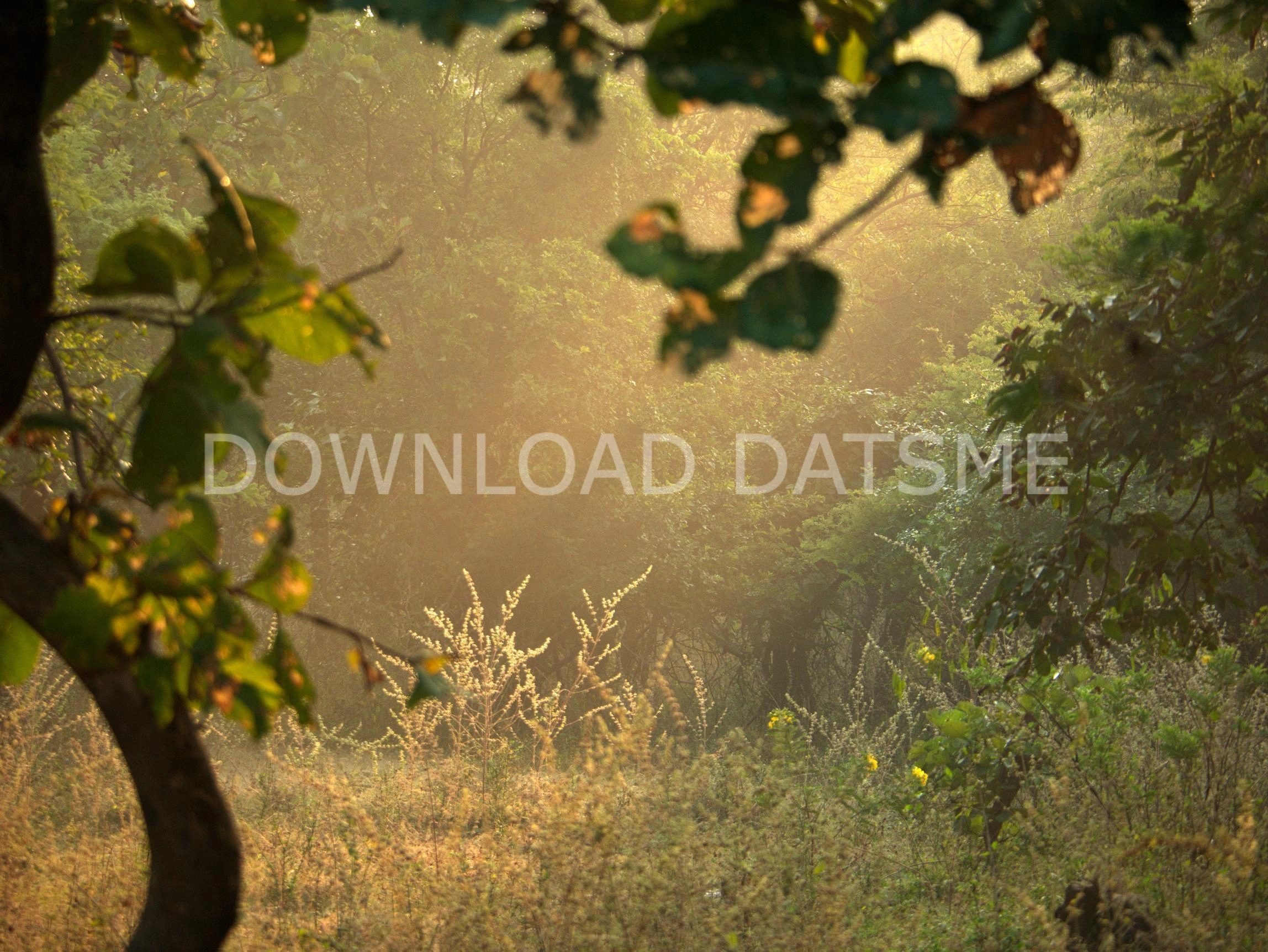 Find Friends in Narsapur, Telangana based on your bonding style