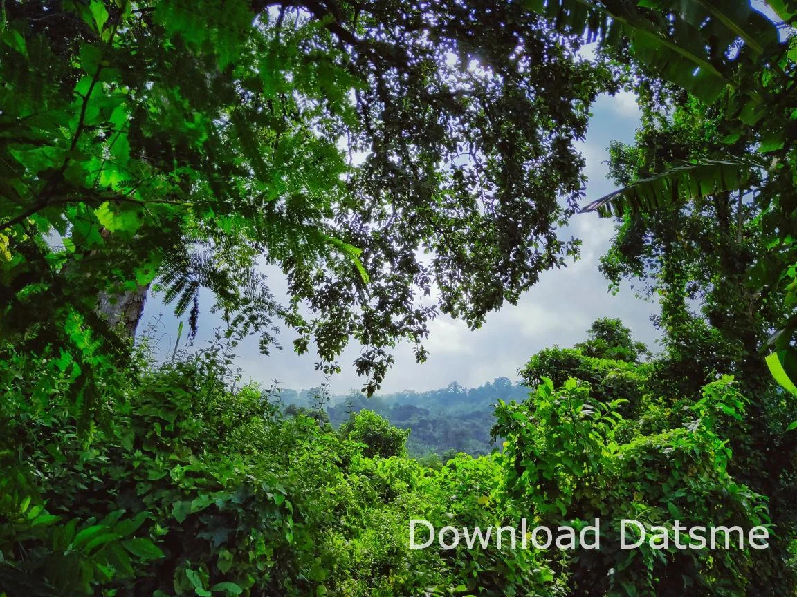 Find Friends in Teliamura, Tripura based on your bonding style